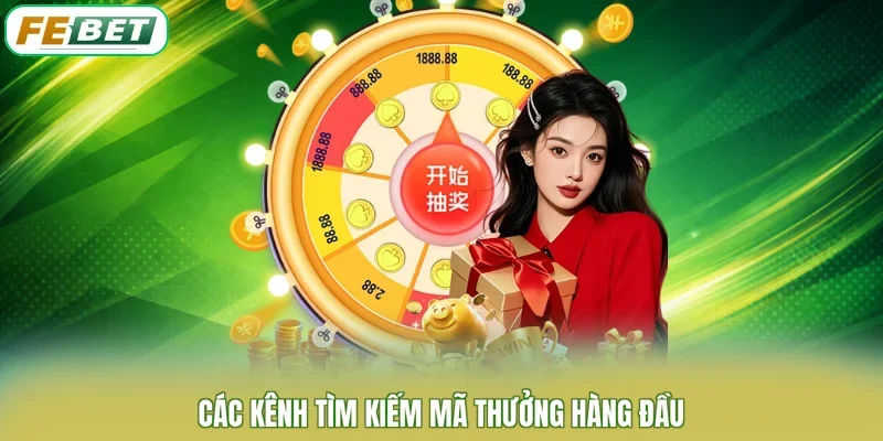 Các kênh tìm kiếm mã thưởng hàng đầu